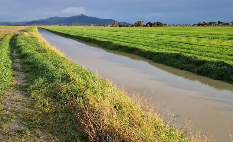 Maltempo, la situazione dei corsi d’acqua nel senese e grossetano: nessuna criticità segnalata