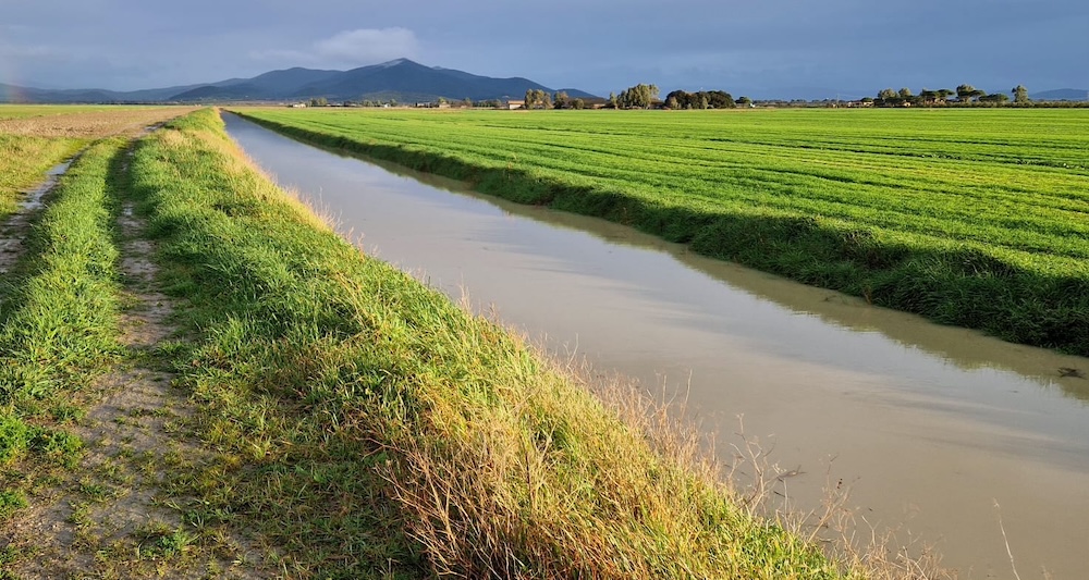 Maltempo, la situazione dei corsi d’acqua nel senese e grossetano: nessuna criticità segnalata