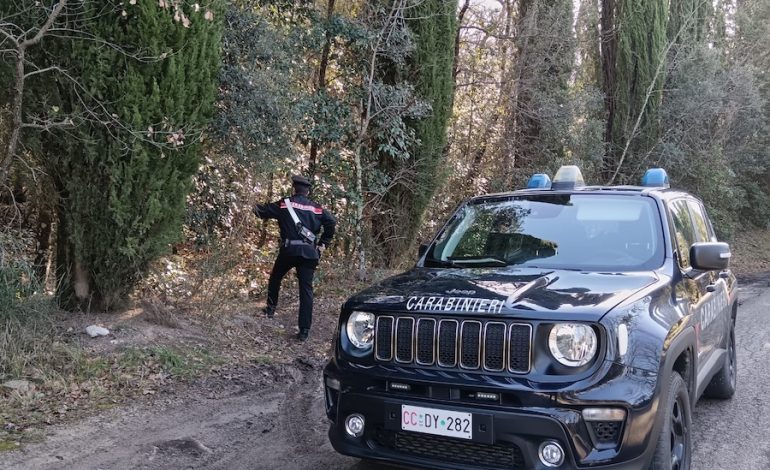 Smantellate numerose piazzole di spaccio nei boschi di Castelnuovo Berardenga, Colle Val d’Elsa e San Gimignano