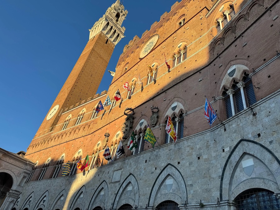 Palio 2 luglio, estratte a sorte Lupa, Oca, Bruco, Valdimontone e Pantera