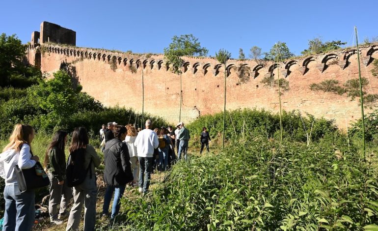 Festival della biodiversità, Siena celebra la natura in città. 250 partecipanti alla prima edizione