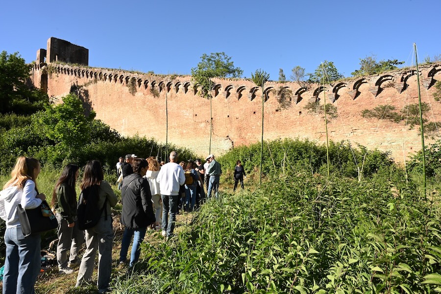 Festival della biodiversità, Siena celebra la natura in città. 250 partecipanti alla prima edizione