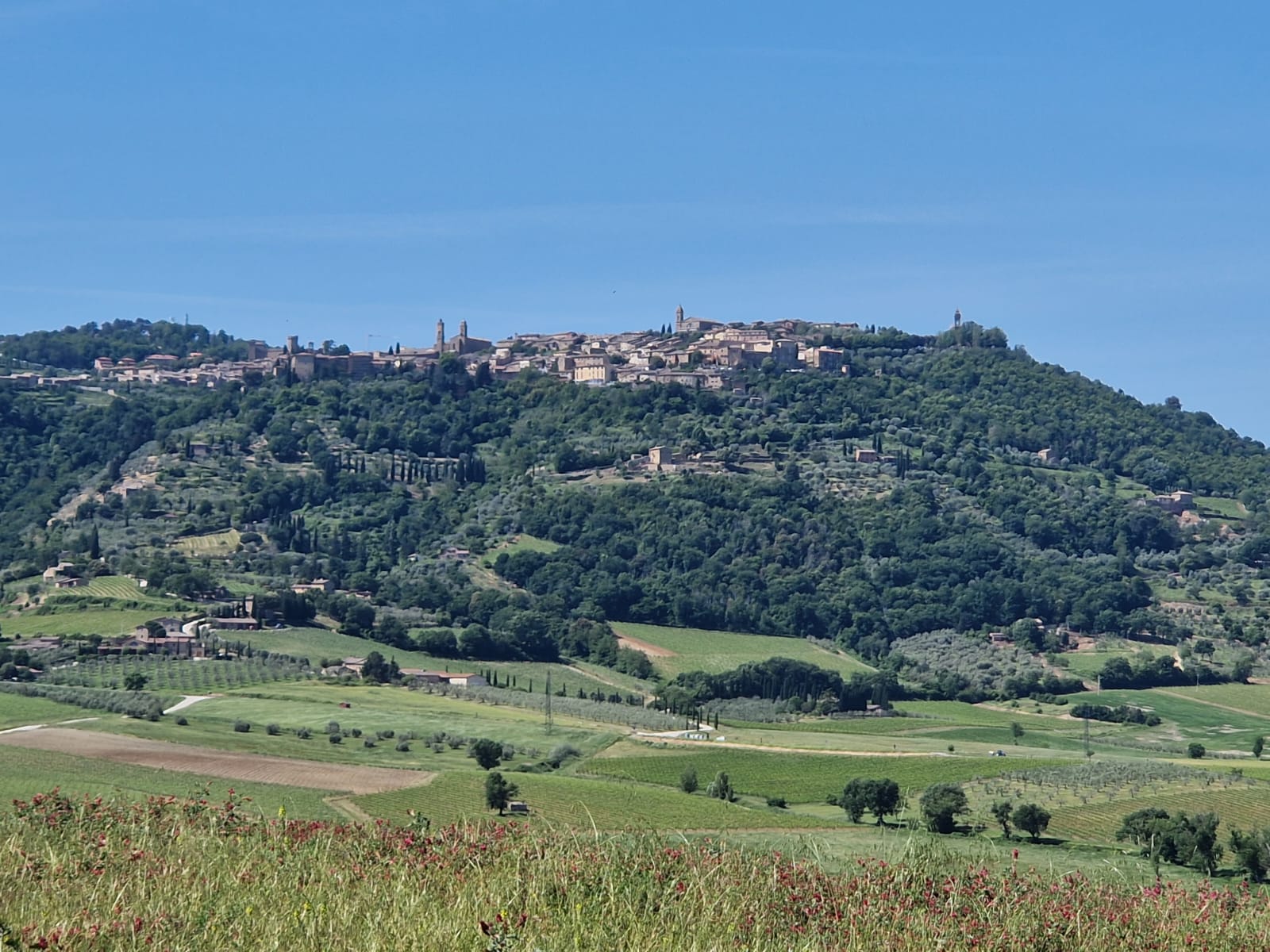 A Montalcino giugno non è solo l’inizio dell’estate ma è un viaggio tra cinema, musica, sapori autentici e panorami eccezionali