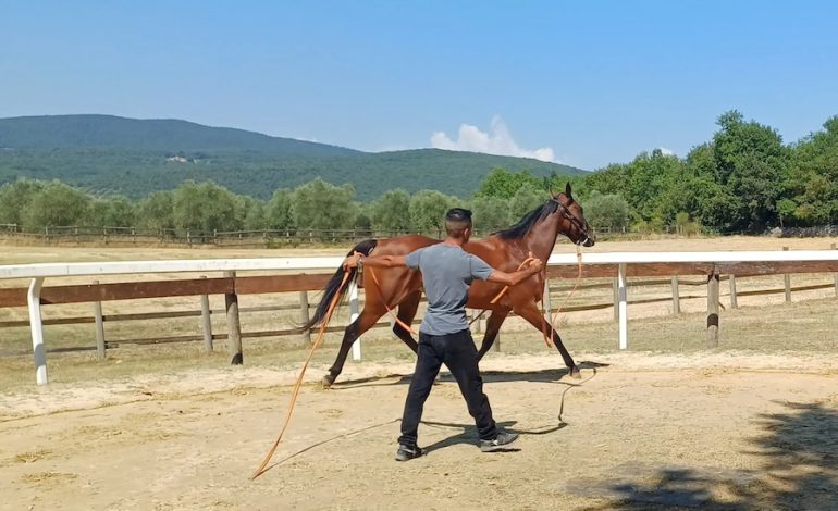 Palio 2 luglio, gli orari delle previsite al Ceppo. Si inizia con Tale e Quale