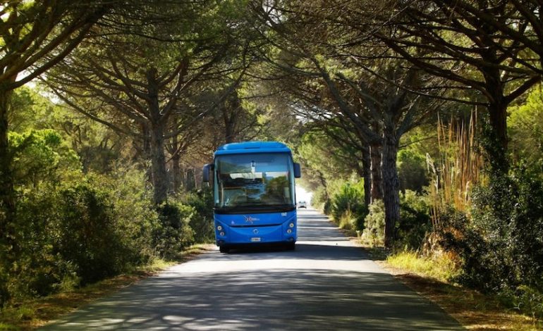 Dal 14 giugno partono i Mare Bus Tiemme da Siena, Colle e Poggibonsi. Tutti i giorni verso Follonica, Castiglione, Marina di Grosseto, Principina e Piombino