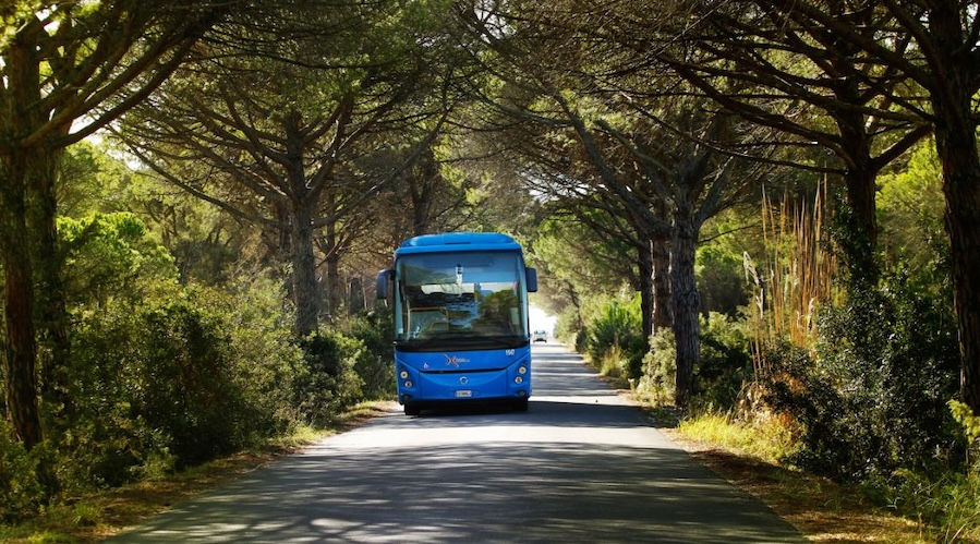 Dal 14 giugno partono i Mare Bus Tiemme da Siena, Colle e Poggibonsi. Tutti i giorni verso Follonica, Castiglione, Marina di Grosseto, Principina e Piombino