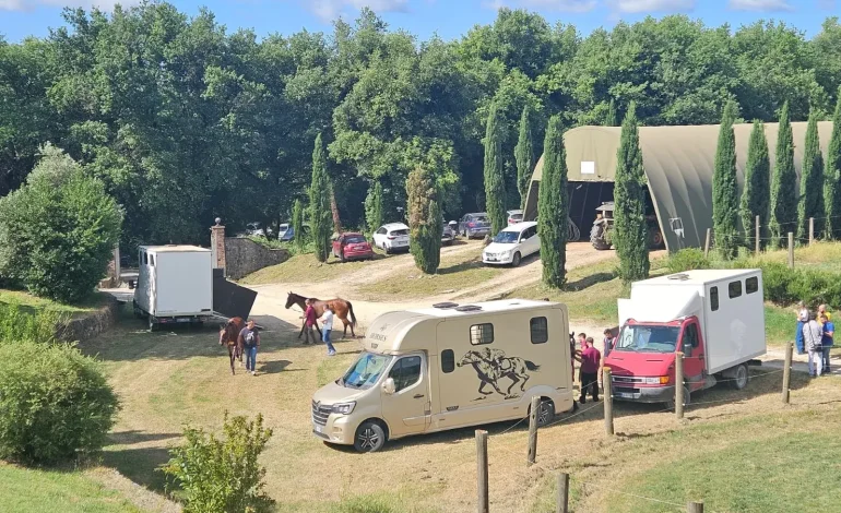Palio 2 luglio, 119 i cavalli ammessi alle previsite del Ceppo